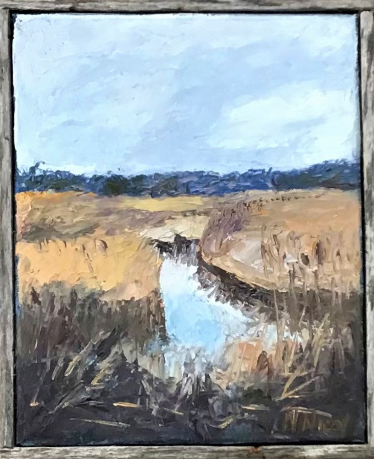 SW - Duck Creek Early Spring