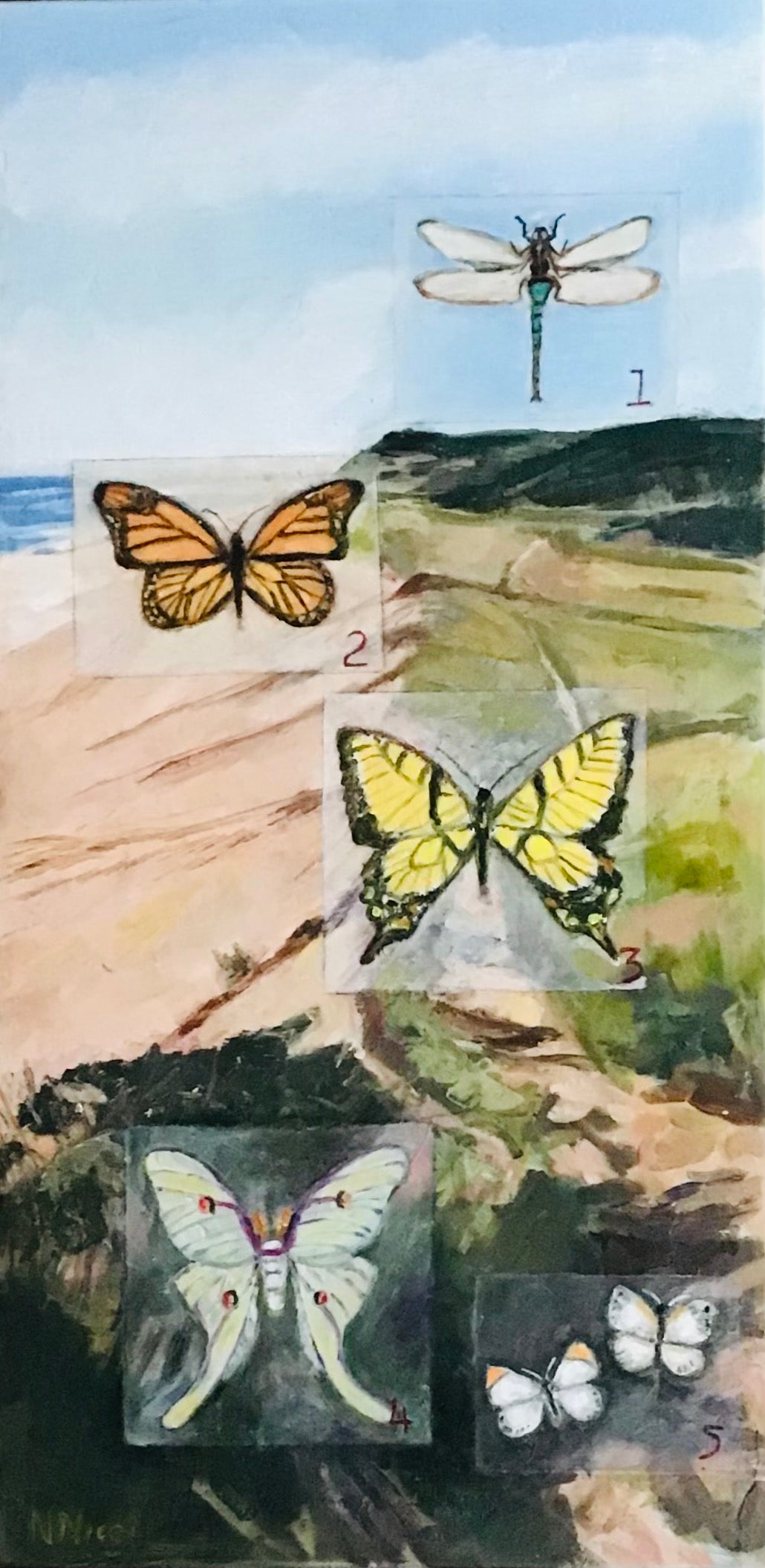 February features - Pollinator Collection