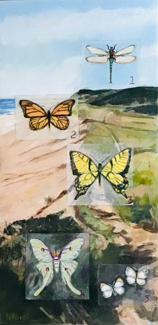 February features - Pollinator Collection