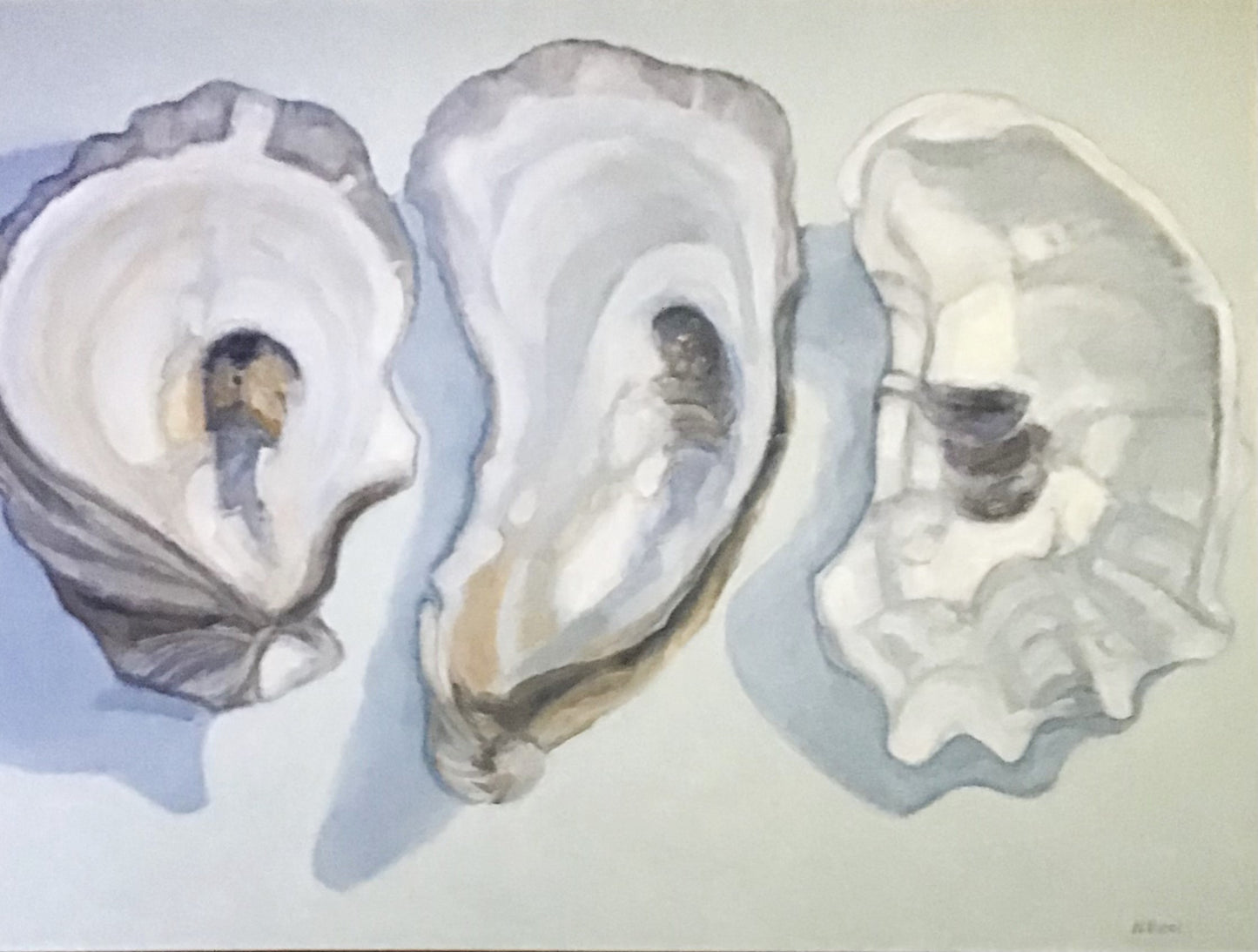 Just Oysters - Three Wellfleet Oyster Shells