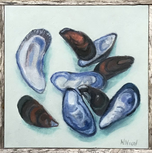 SW -Nine Mussel Shells