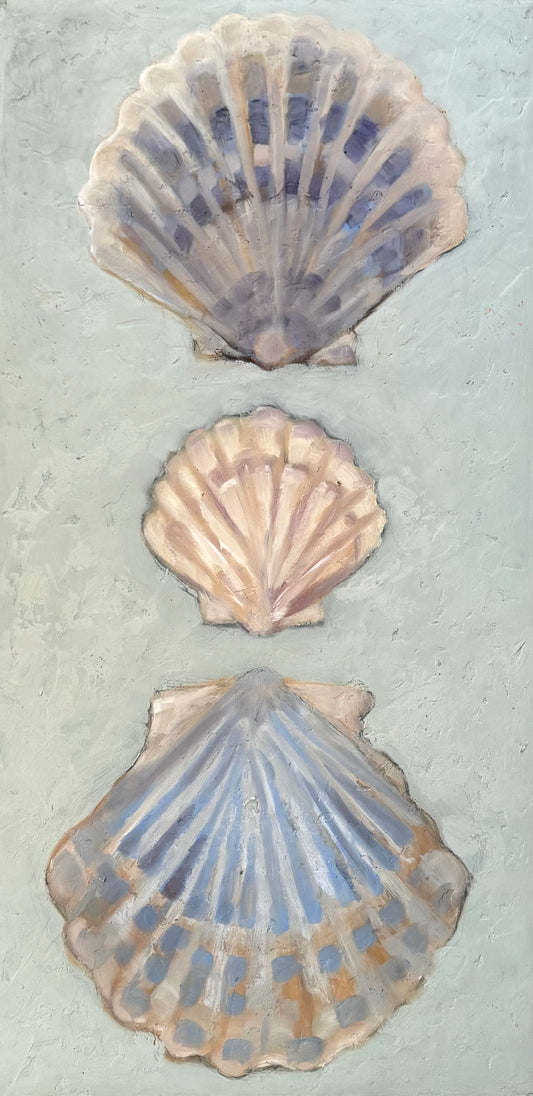 Paintings - Three Oversize Scallop Shells