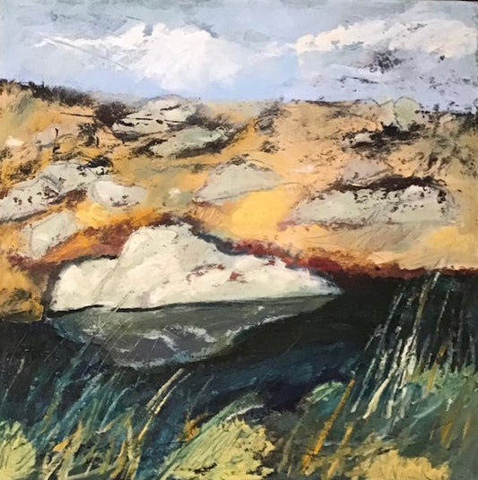 Waterscapes - Artesian Pool in the Dunes